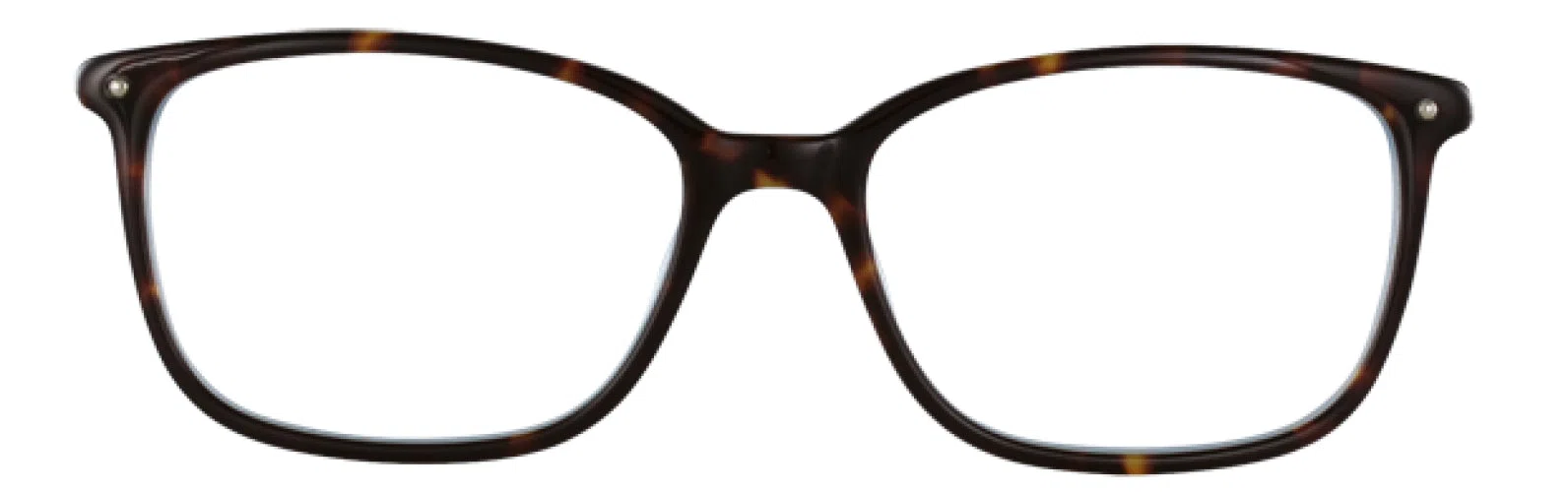 Via Spiga VSCasimira Eyeglasses - view 11